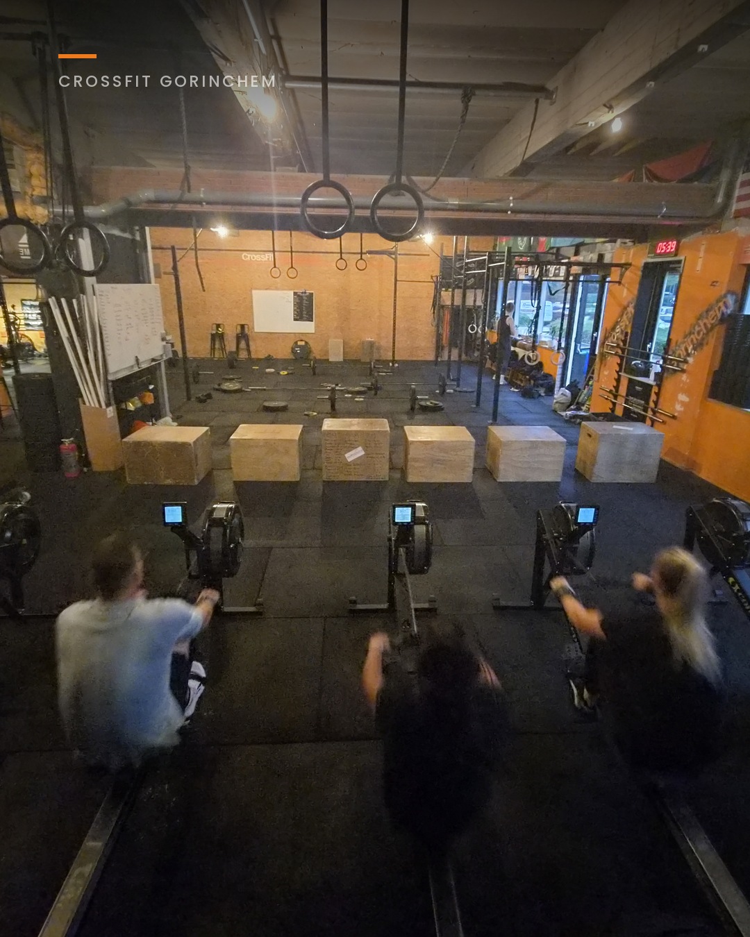 Overzicht van de box van CrossFit Gorinchem met roeimachines en rig